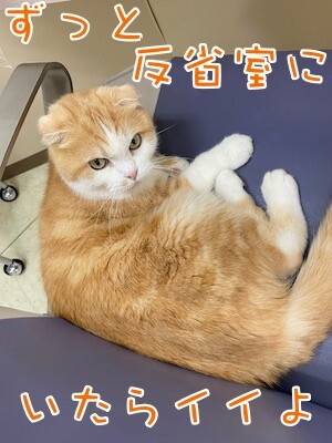 珠若144