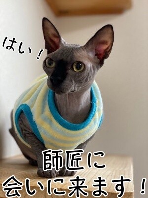 ビオ56
