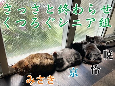 みんな296