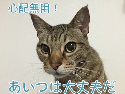 翔387