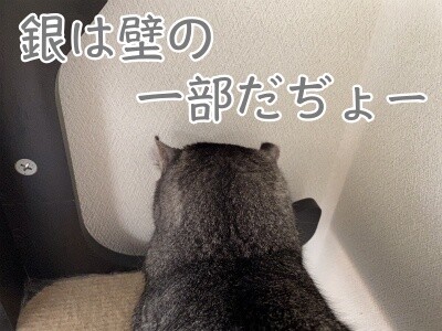 銀321