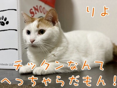 りよ291