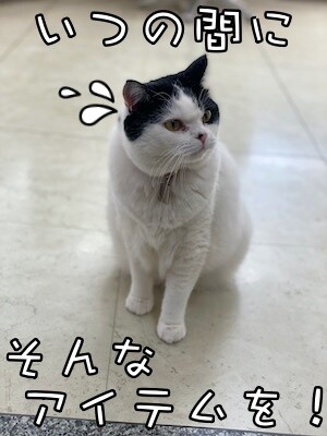 珠若48