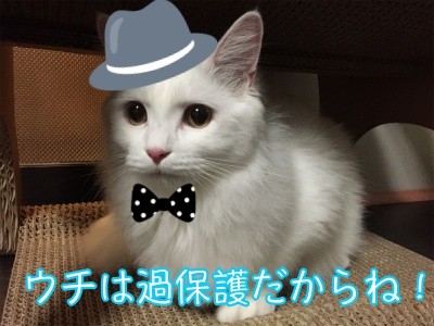 文太12