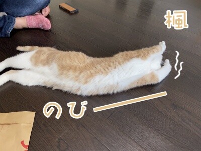 楓690
