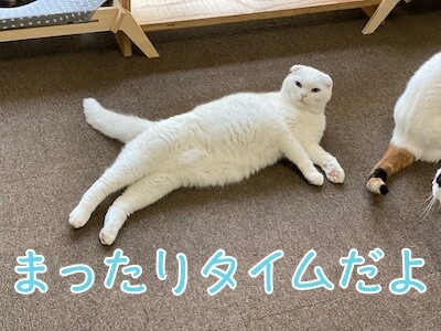 みんな291