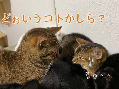 みんな2150