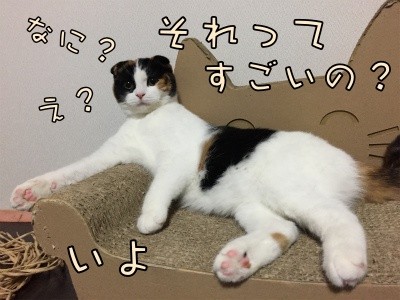 いよ39