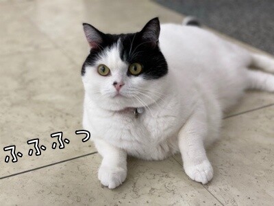 珠若701