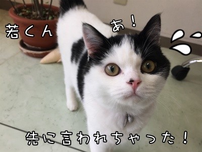 珠若98