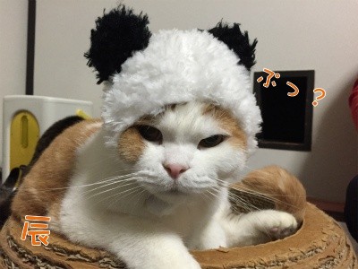辰7
