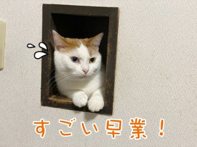 りよ269