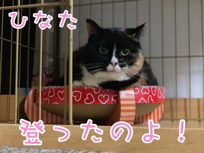 るひあ84