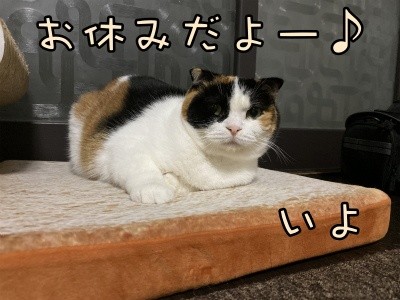 いよ245
