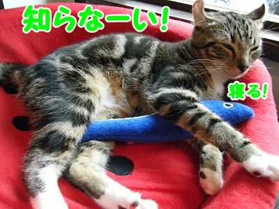 かな (9)