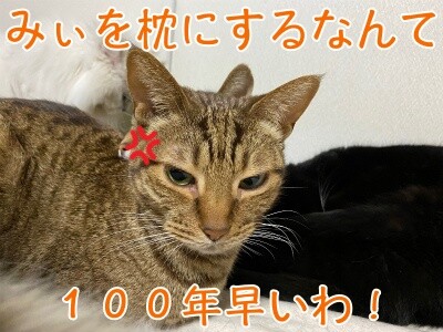 みさき271
