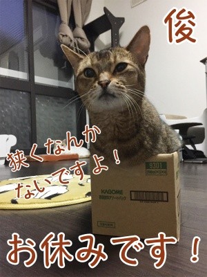 俊270