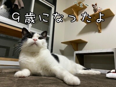 渾64