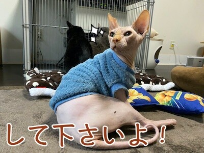 士177