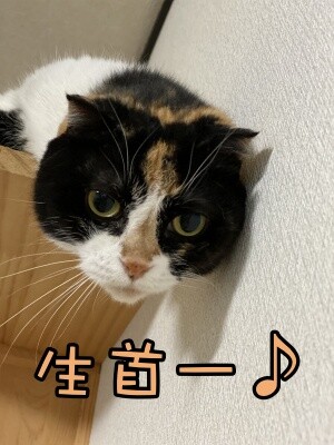 そよ177