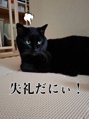 夢268