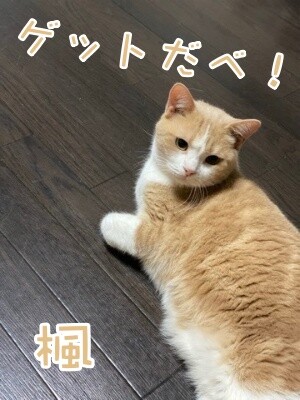 楓997