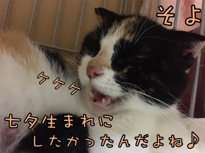 そよ75