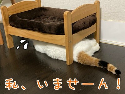 りよ77