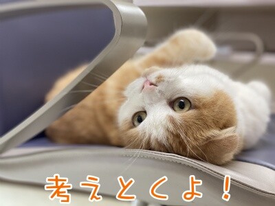 珠若601