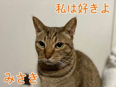 みさき304