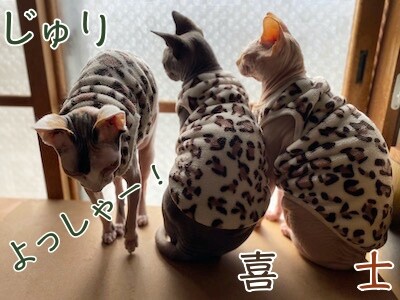 みんな1330