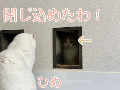 みんな235