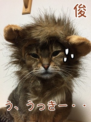 俊103