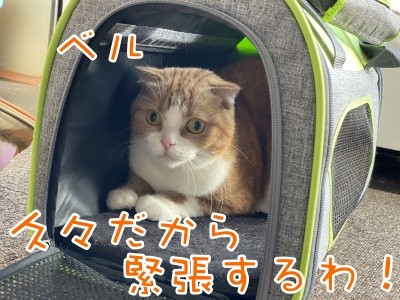ベルビル112