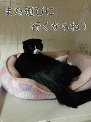 福1
