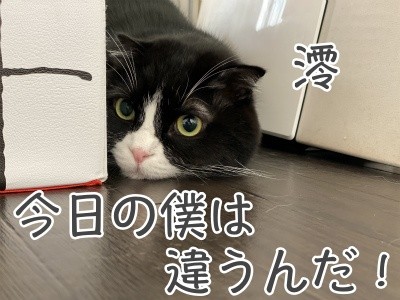 澪133