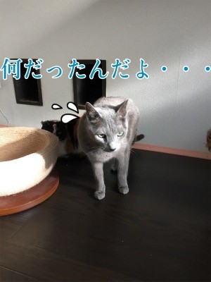 みんな451