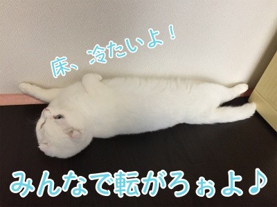 殿91