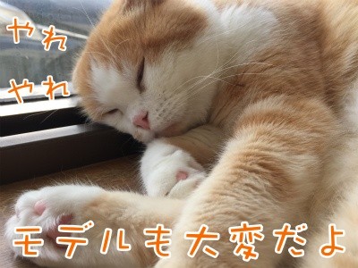 珠若476