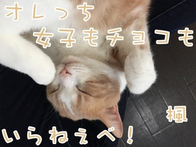 楓379