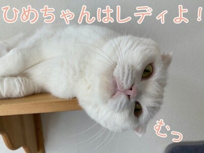 ひめ405