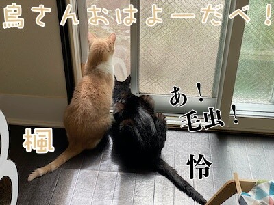 みんな1037