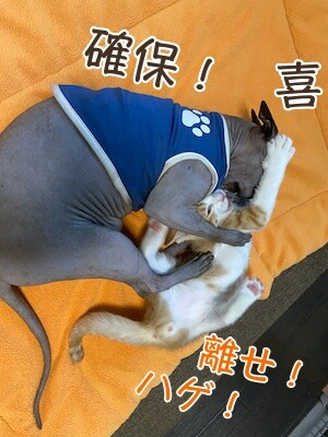 琢15