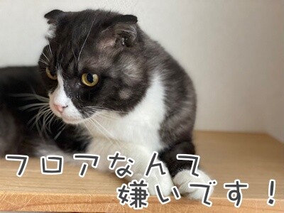 刻71