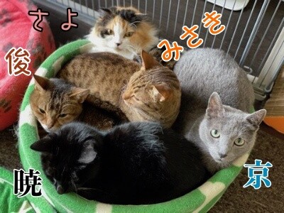みんな2039