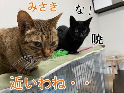 みんな2835