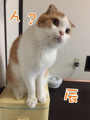 辰163