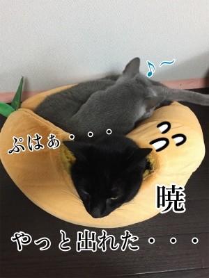 みんな716