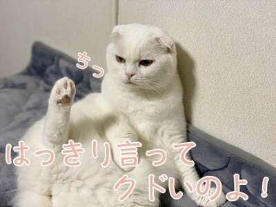 ひめ23