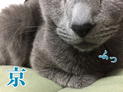 京278